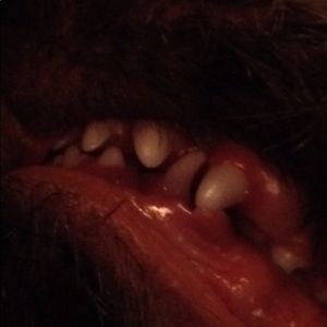 Meet your Posher, Timothy